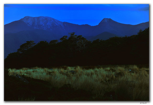 NZ0506.Kahurangi N.P.Evening at Sylvester Hut