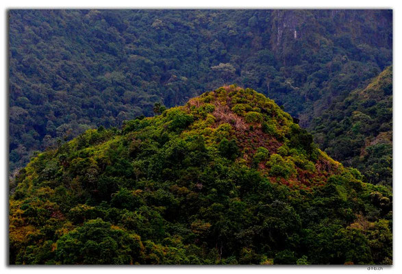 VN0026.Cat Ba