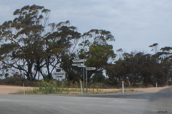 Australien.Cream-Puff-Corner