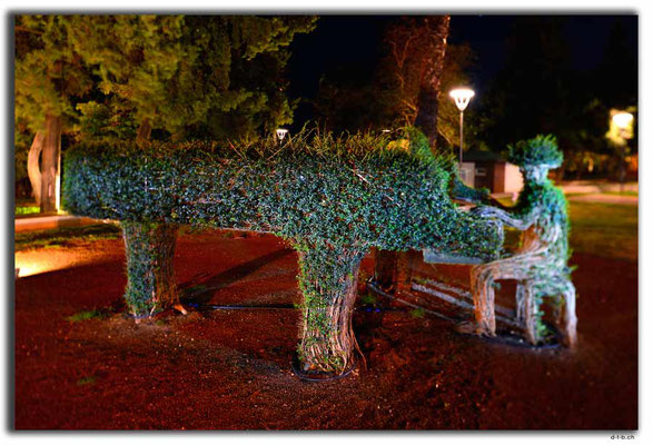 TR0323.Antalya.Buschmusiker