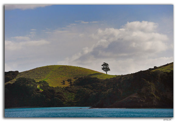 NZ0152.Bay of Islands.Urupukapuka