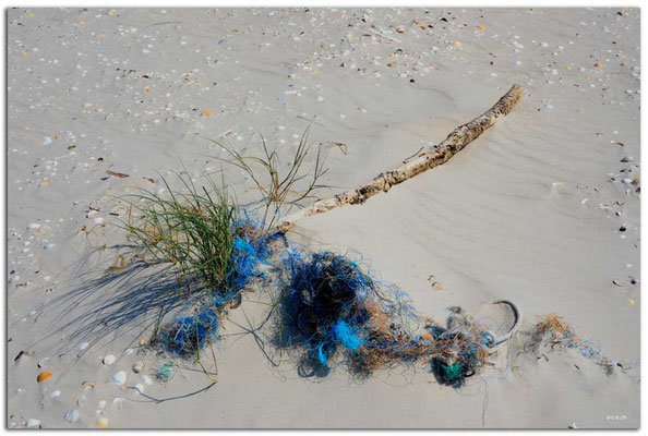 DE101.Amrum.Müll
