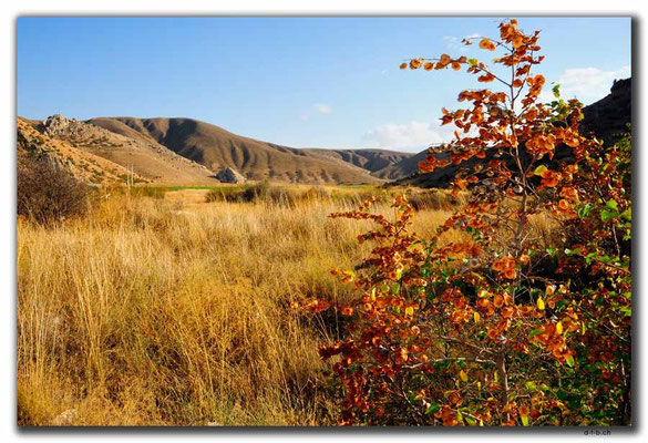 IR0337.Dasht