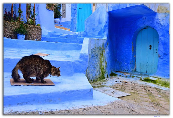 MA0438.Chefchaouen
