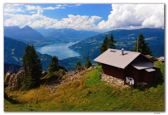 GW0452.Aussicht auf Thunersee