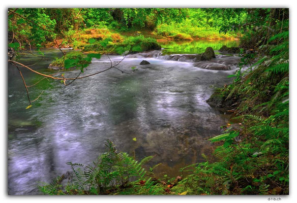 VT0111.Efate.Eden on the river