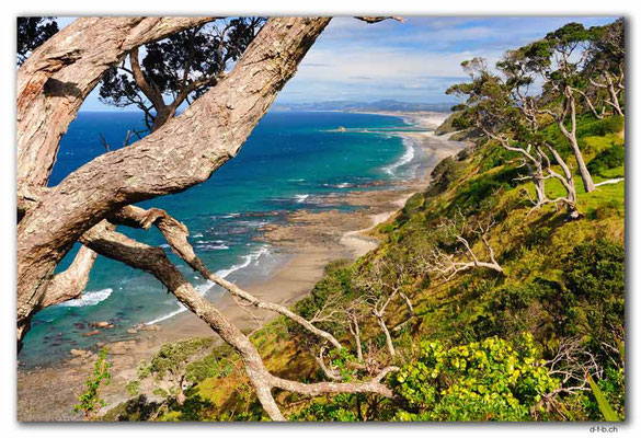 NZ0223.Mangawhai Head Beach