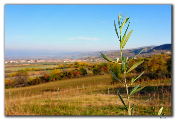 GR0120.Vergina