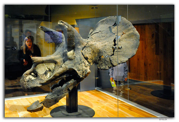 CA0771.Drumheller.RTM.Triceratops orig