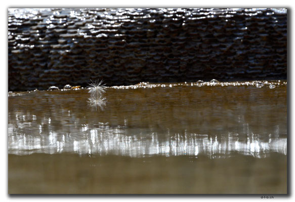 IR0313.Badab Soort