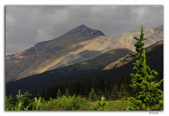 CA0621.Along the Icefields Highway