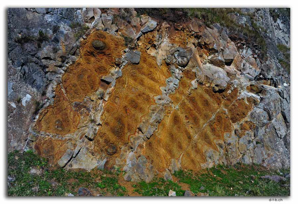 NZ1028.Christchurch.Port Hills.Nature Art