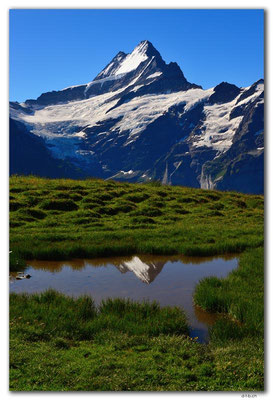 GW0356.Schreckhorn im Spiegel