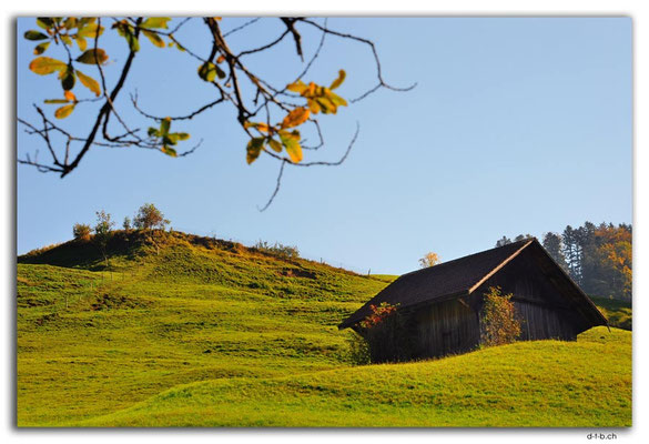 CH1029.Wald.ZH