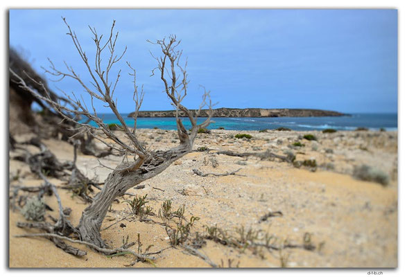 AU1020.Coffin Bay N.P. Golden Island Lookout