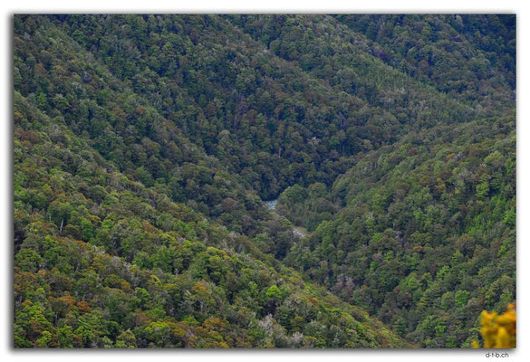 NZ0584.Anatoki Track.Waingaro River