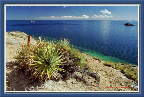 11.Isla del Sol,Bolivien