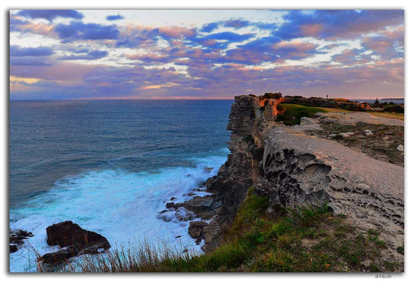 AU1623.Sydney.North Bondi Cliff