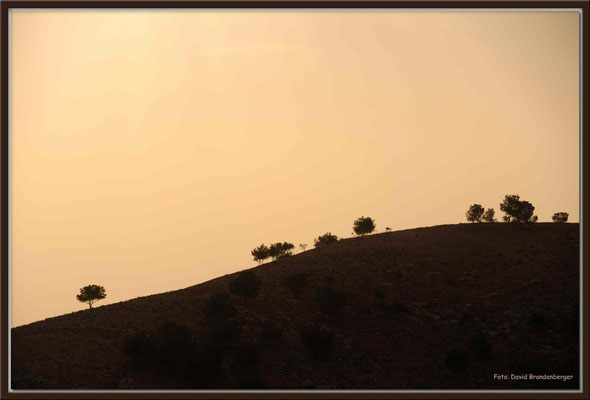 JO065.Aussicht Mount Nebo