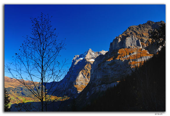 GW0161.Wetterhorn und Mättenberg