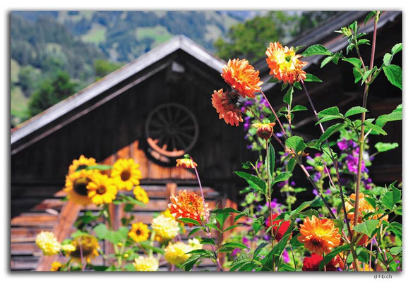 GW0134.Garten in Mettenberg
