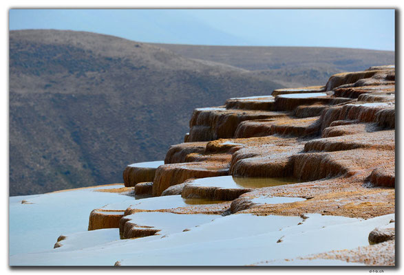 IR0321.Badab Soort
