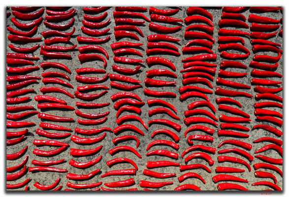 KR0015.Incheon.Chilli