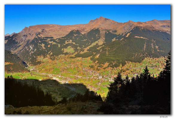 GW0160.Grindelwald