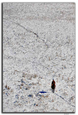 KG0027.Bishkek.Hirte auf Pferd