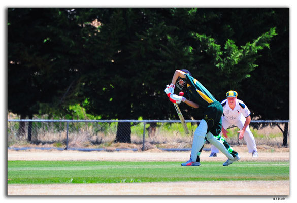 NZ0715.Scargil Domain.Cricket