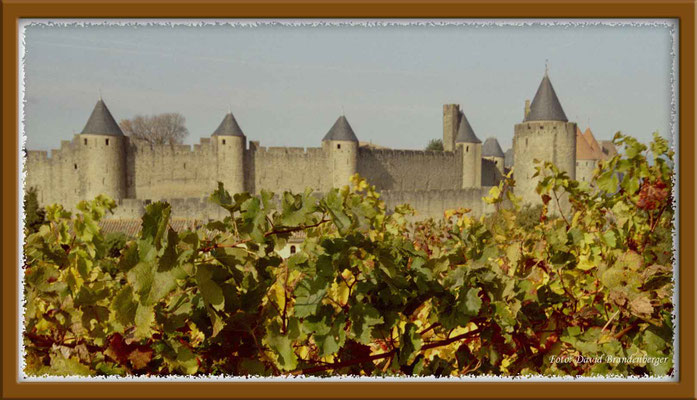 FR0008.Carcassonne