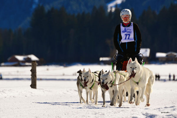 CH1374.SH-Rennen Lenk.Seel Caren