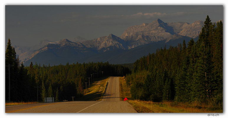 CA0596.Icefield