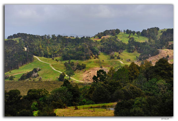 NZ0062.Aussicht von Kaiwaka