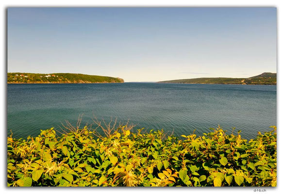 CA1266.Newfoundland.Brad's Rest