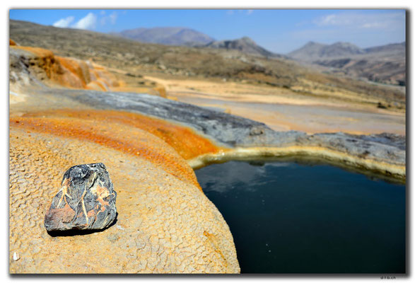 IR0291.Badab Soort