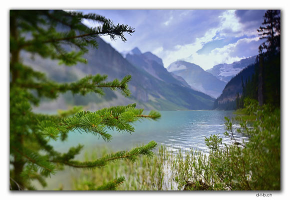 CA06316.Lake Louise