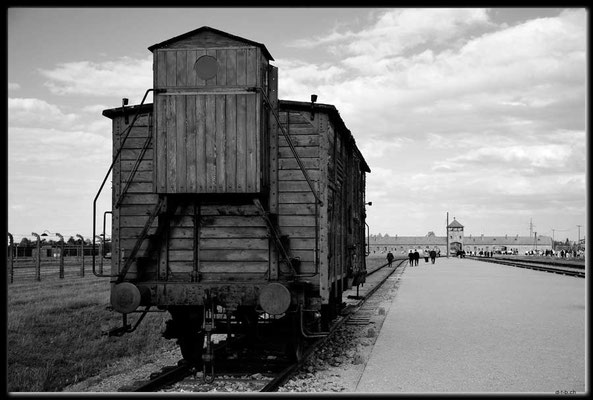 PL050.Birkenau.Waggon