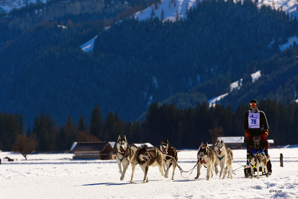 CH1366.SH-Rennen Lenk.Egli Donato