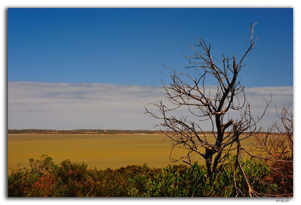 AU1119.Coorong N.P.