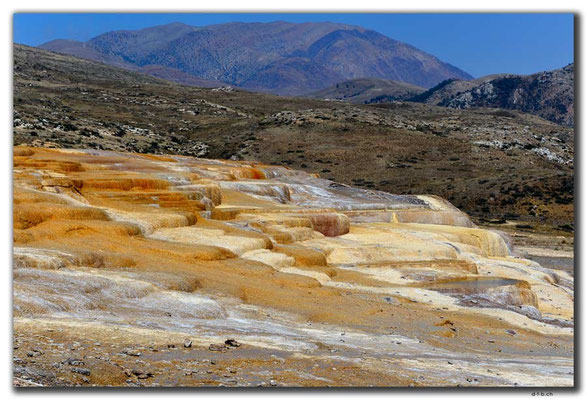 IR0296.Badab Soort