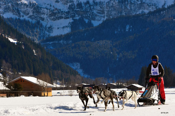 CH1399.SH-Rennen Lenk.Remund Barbara