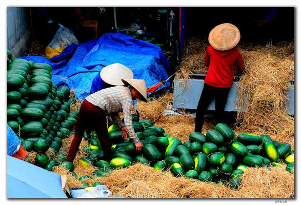 VN0046.Hanoi.Melonen verladen