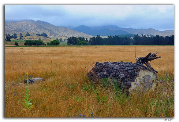 NZ0684.Wairau Valley