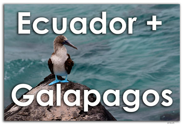 Fotogalerie Ecuador + Galapagos / Photogallery Ecuador + Galapagos
