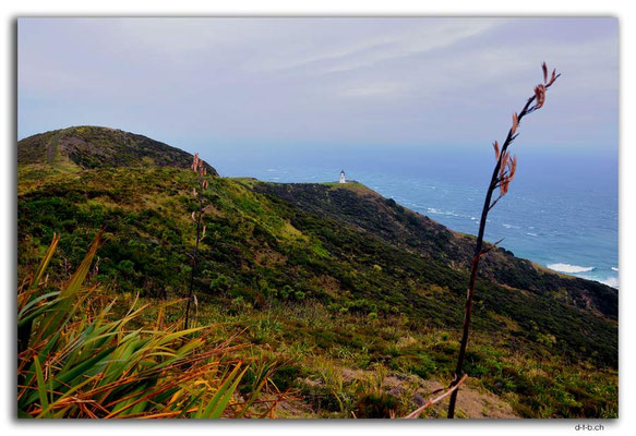 NZ0108.Cape Reinga