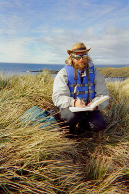 South Georgia, Albatross Island