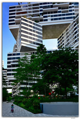 SIN0035.The Interlace