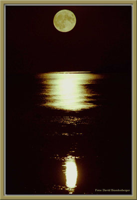 A0161.Mond.Slite.Gotland.SE
