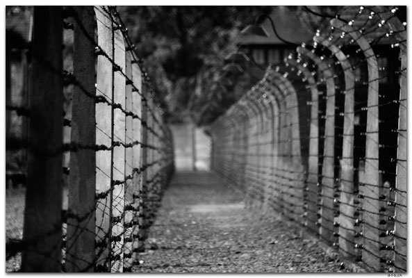 PL006.Auschwitz.Todeszaun
